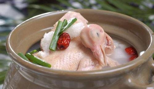 吃瓜厨房鸽子汤,鸽子汤的秘密，美味与健康共存
