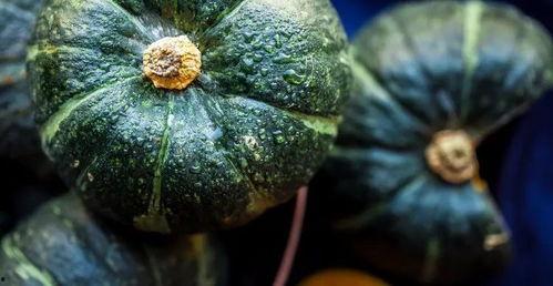 轻食吃哪些瓜,瓜类美食新选择