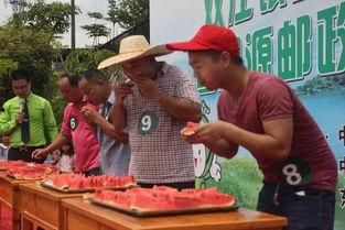 吃瓜状元,揭秘娱乐圈的瓜田秘闻