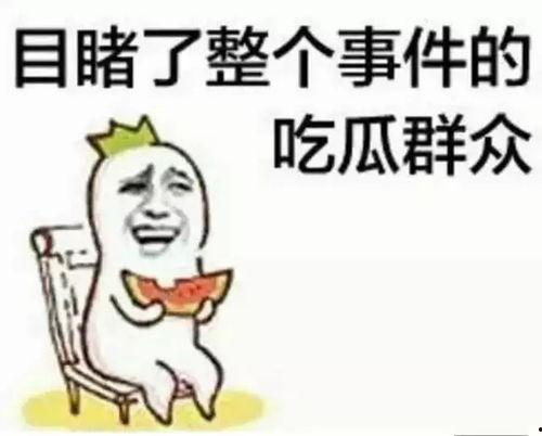 带你吃瓜回文作业,回味无穷