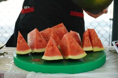 江西航空职业吃瓜