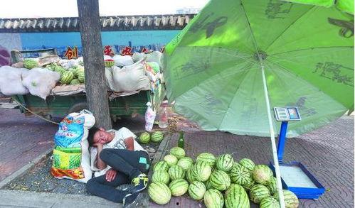 漯河吃瓜视频大全,吃瓜视频大全，带你领略地方风味