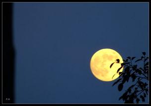 中秋拍月亮吃瓜,共度团圆佳节