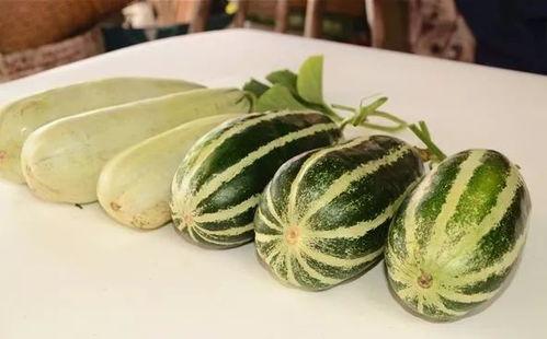 吃瓜不免费,揭秘娱乐圈背后的真相与内幕