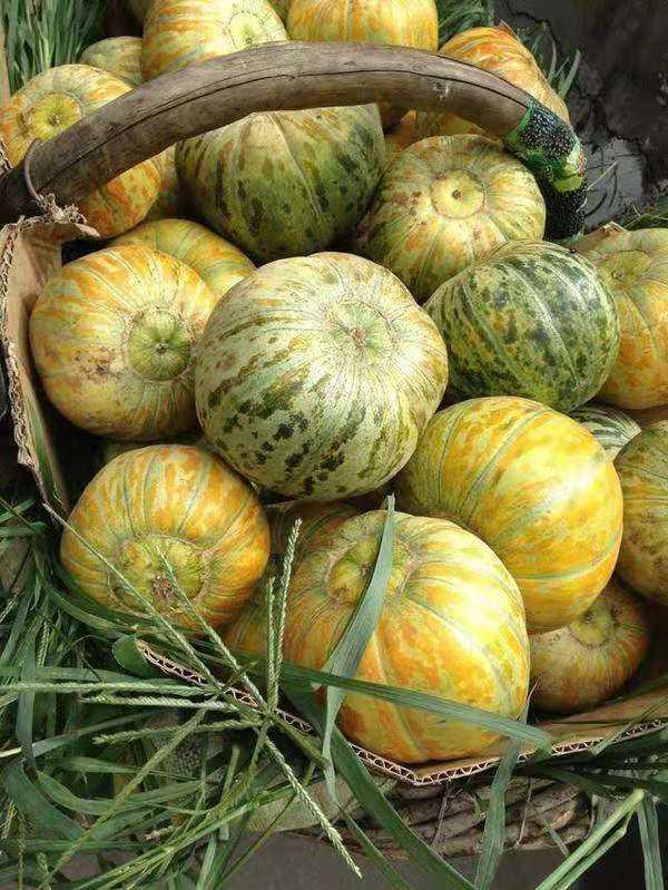 大面瓜怎么吃更好