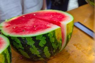 湖师文理吃瓜,吃瓜群众揭秘校园热点