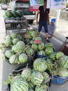 安顺学院吃瓜事件,校园舆论风波背后的真相探究