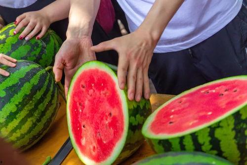 弘济学校吃瓜,揭秘校园里的“瓜田”风云