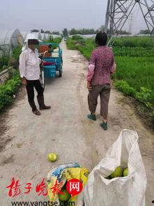 扫地大妈吃瓜,揭秘娱乐圈幕后真相