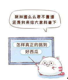 拒绝吃瓜群众作文,拥抱独立思考