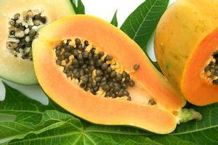 梦见吃熟透的瓜,揭秘吃熟透瓜果的神秘寓意