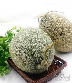 哈密瓜茎叶可以吃吗,可食用之谜探究