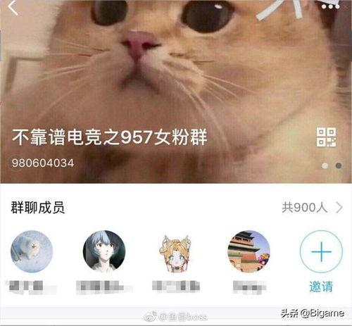 无脑吃瓜什么意思,揭秘网络时代下的娱乐狂欢现象
