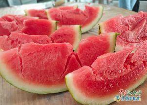 襄县免费吃瓜,免费吃瓜活动来袭，清凉一夏尽享瓜果盛宴