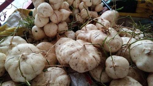 吃瓜奇葩东西图片大全,揭秘吃瓜界的奇葩美食图片大全