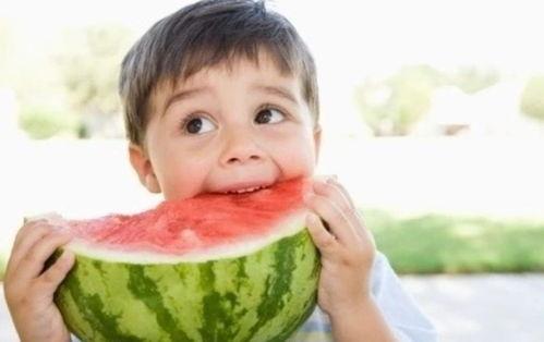 七七和冬冬比赛吃瓜