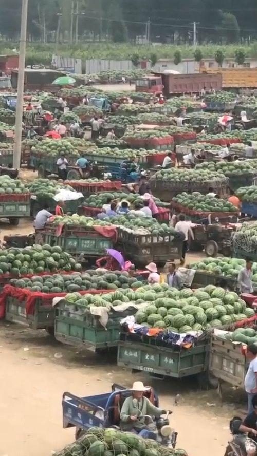 成都吃瓜墙地址,揭秘成都街头巷尾的热辣八卦