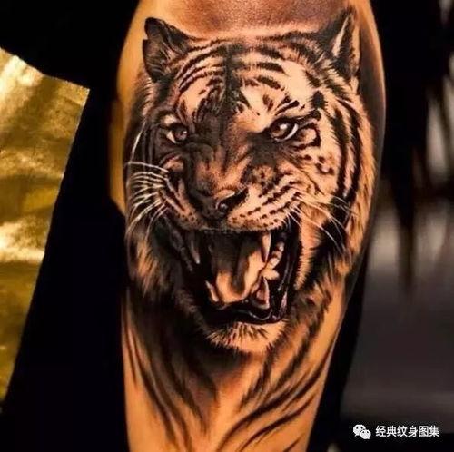 老虎吃瓜纹身图案,探寻老虎吃瓜纹身的神秘魅力