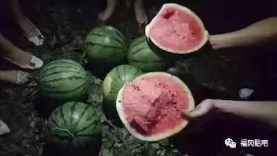 毕业作品吃瓜,揭秘毕业作品背后的创意火花