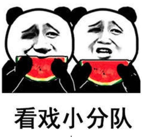 表情小兔吃瓜看戏,趣味横生演绎生活百态