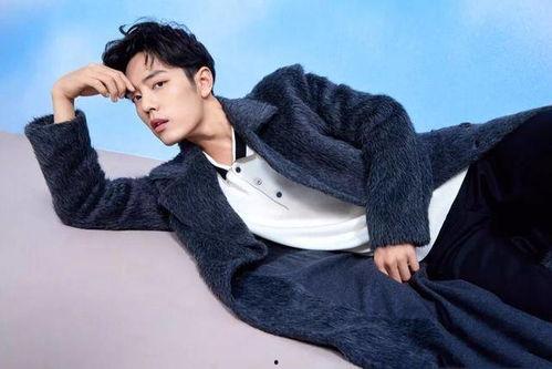 吃瓜罗伯特肖战,肖战事件背后的真相与反思