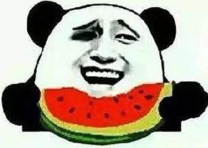 成熟了吃瓜群众,揭秘成熟吃瓜群众的智慧与趣味