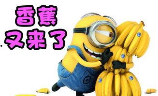 吃瓜游戏解说搞笑视频,解说搞笑视频里的欢乐盛宴
