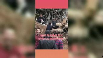 吃瓜星球网,带你领略宇宙中的娱乐盛宴